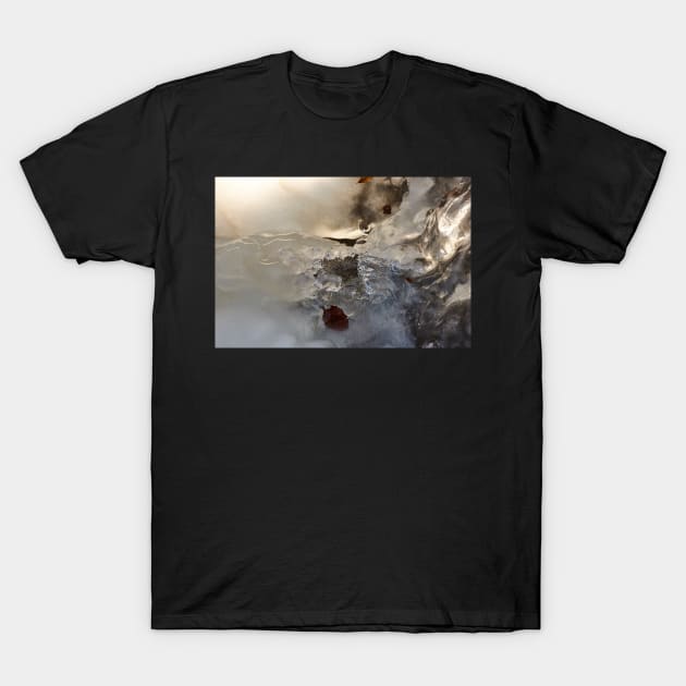 A hole in the ice T-Shirt by mbangert